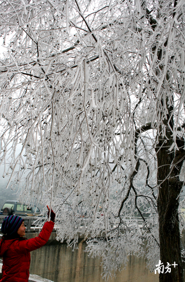 今冬的首場(chǎng)寒潮將于12月29日下午襲擊連州，最冷零下5度，提醒群眾做好御寒準(zhǔn)備。黃津 攝