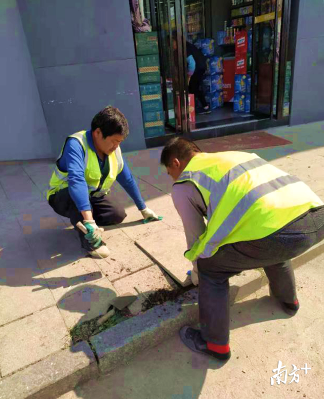 對北山路、南門大道等地段損壞路面進行修復。