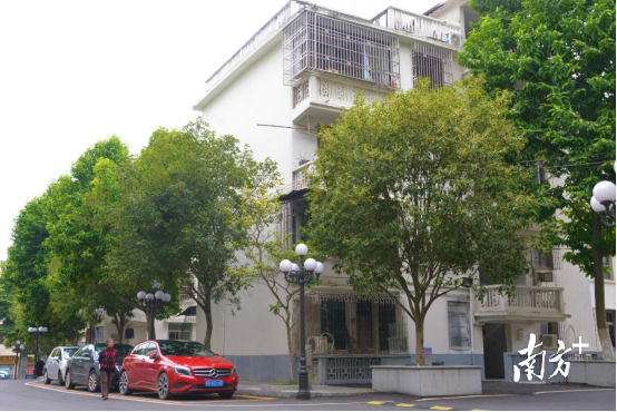 完成部分改造升級后的市政府生活區(qū)。張曉欣 攝