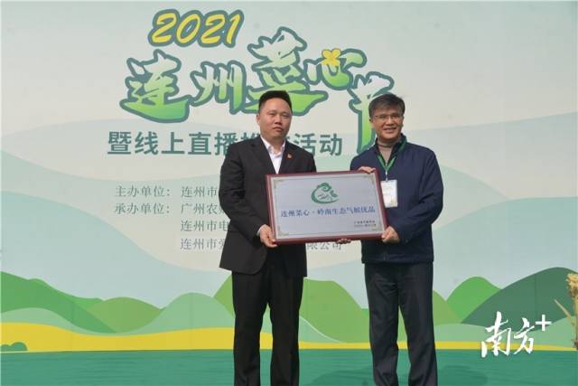 連州菜心獲評(píng)“嶺南生態(tài)氣候優(yōu)品”，廣東省氣象局一級(jí)巡視員、省氣象學(xué)會(huì)理事長(zhǎng)梁建茵為連州菜心授牌。張曉欣 攝