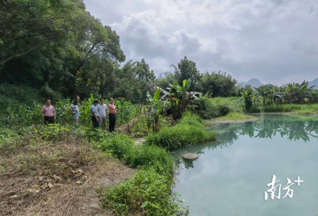 實(shí)地調(diào)研。
