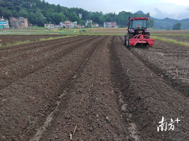 東方紅農(nóng)耕機(jī)正在試運(yùn)作。