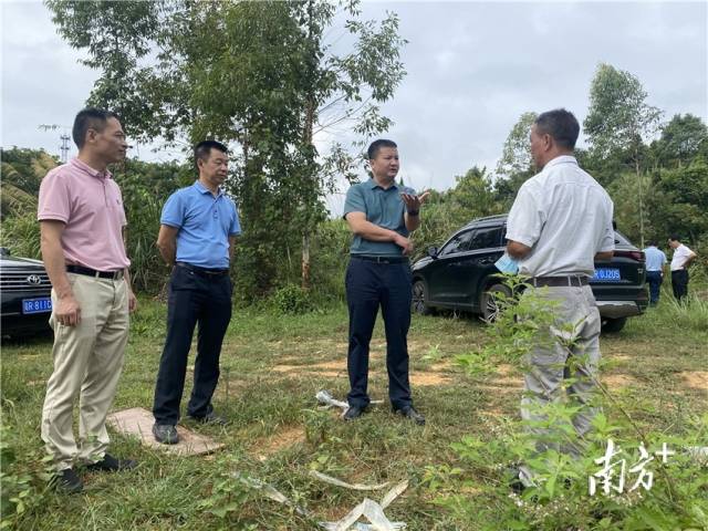 調(diào)研了解鄉(xiāng)村振興項目發(fā)展情況。