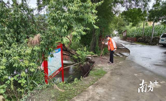 路基出現(xiàn)塌陷，人大代表豎立警示提醒。