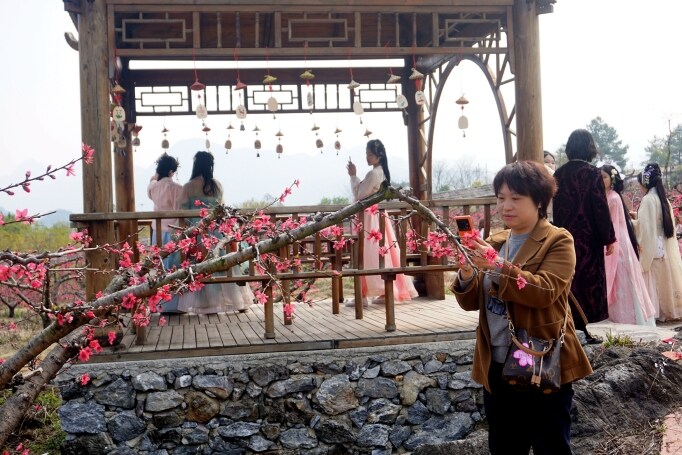 桃花節(jié)在九陂鎮(zhèn)開幕，迎來八方游客。清遠(yuǎn)日報記者 周璐攝。