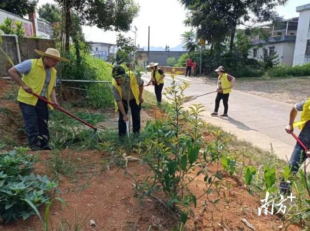 開展護(hù)綠行動(dòng)。