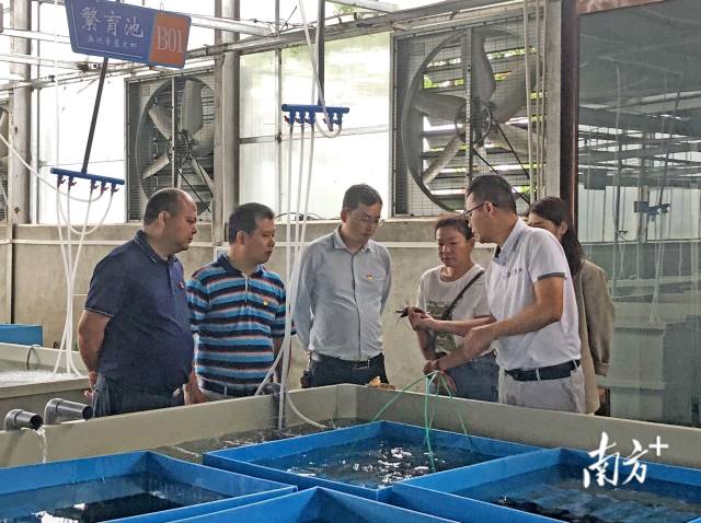 在畔水漁晟園了解特色產(chǎn)業(yè)發(fā)展情況。