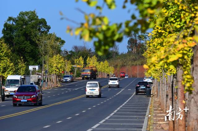 連州近5年累計投入20億元優(yōu)化升級交通設施。黃津 攝