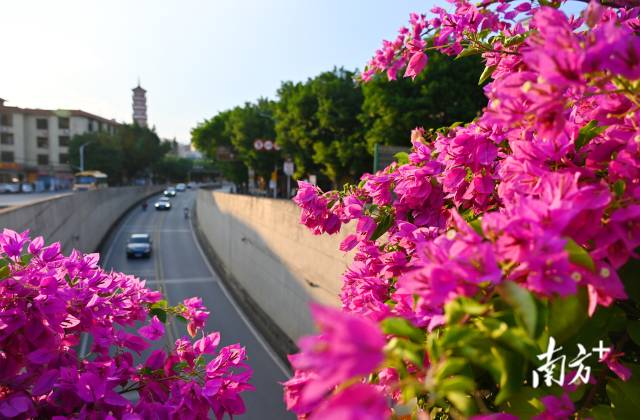 連州織就一張“外聯(lián)內(nèi)暢、城鄉(xiāng)融合”的立體交通藍圖。黃津 攝