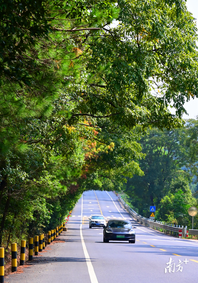 連州“四好農(nóng)村路”省級示范縣創(chuàng)建考核總分排全省第二。黃津 攝