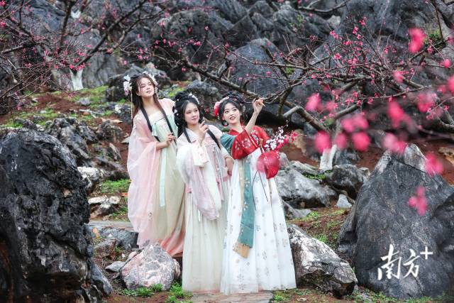 國風(fēng)少女打卡連州桃花季。