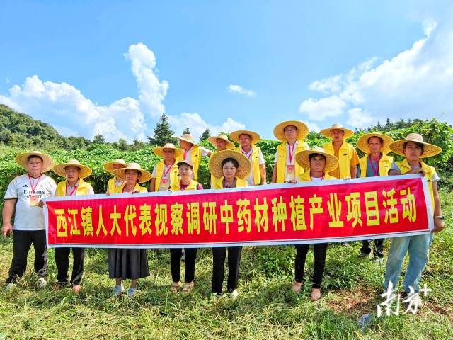 代表們實(shí)地調(diào)研，為產(chǎn)業(yè)振興培育新動(dòng)能。 西江鎮(zhèn) 供圖